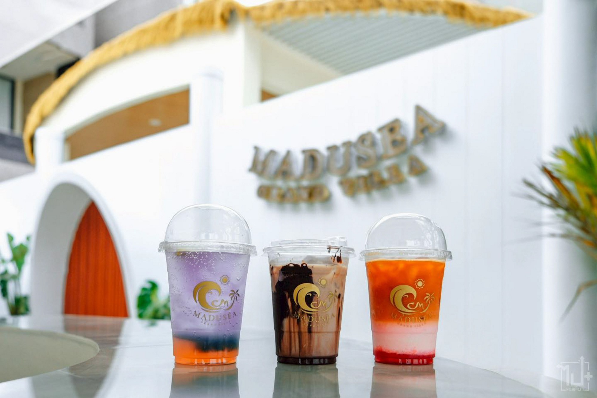 Facilities & Services