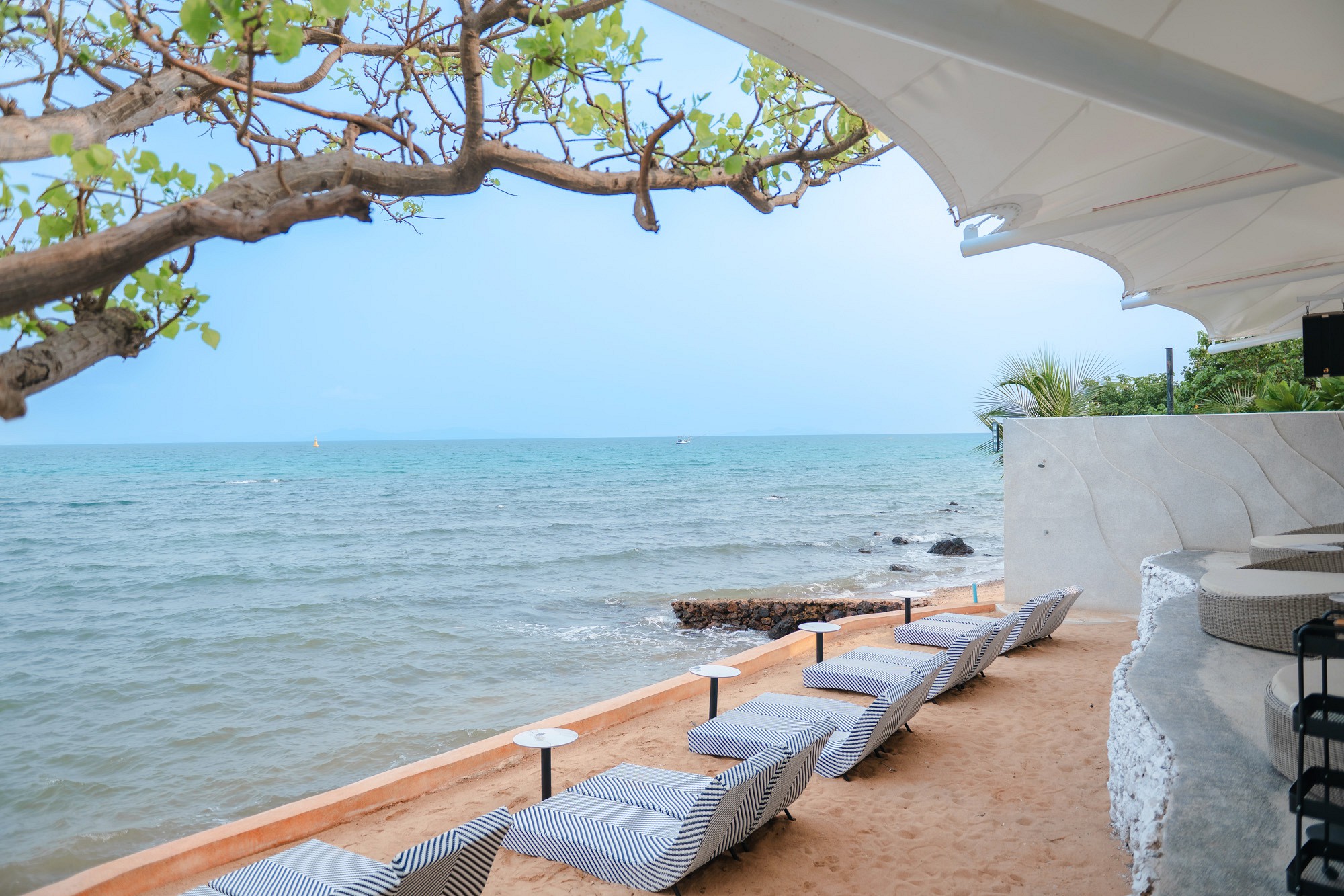 Facilities & Services